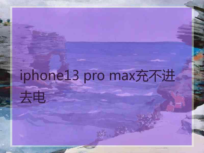 iphone13 pro max充不进去电