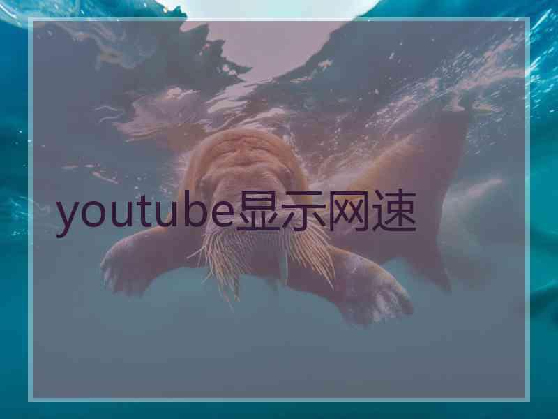 youtube显示网速