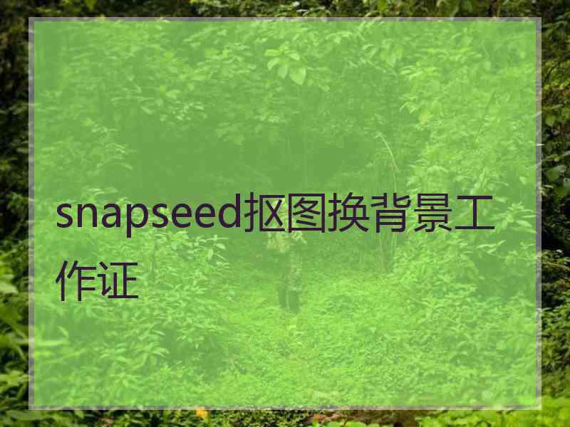 snapseed抠图换背景工作证