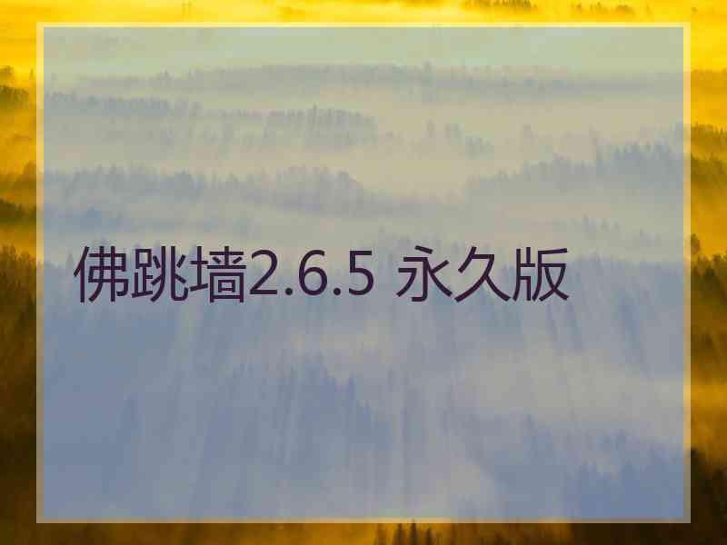 佛跳墙2.6.5 永久版