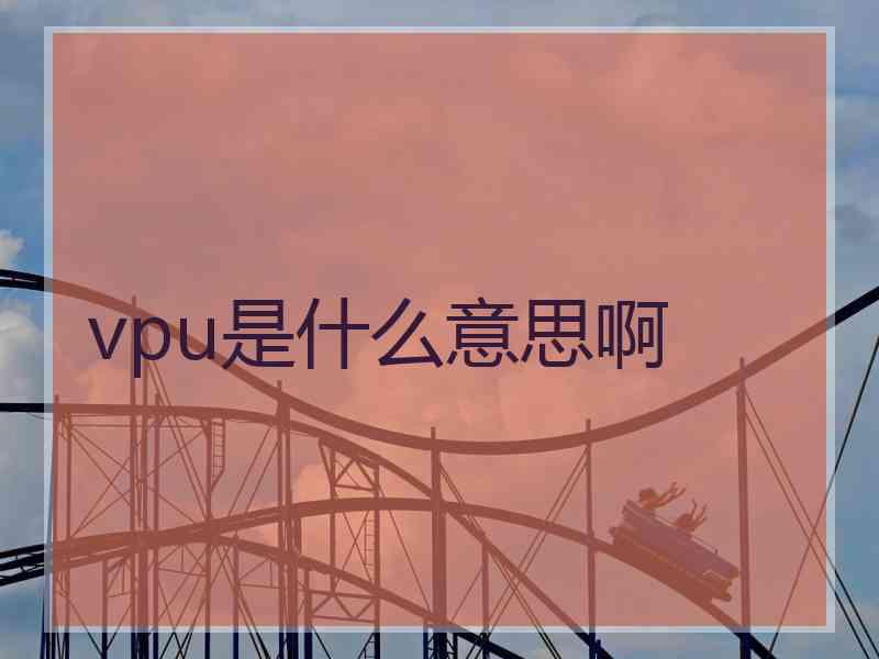 vpu是什么意思啊