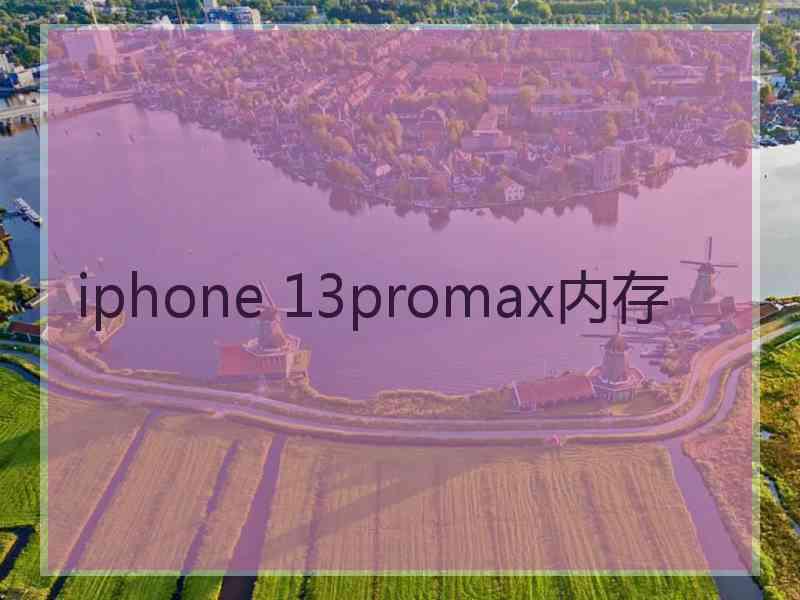 iphone 13promax内存