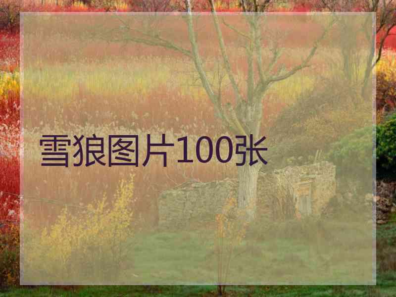 雪狼图片100张