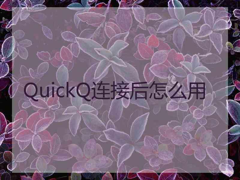 QuickQ连接后怎么用