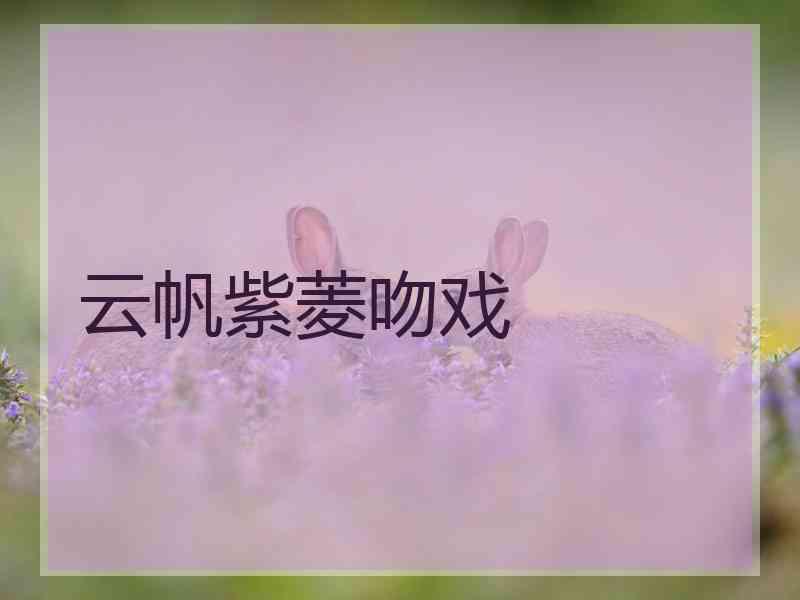 云帆紫菱吻戏