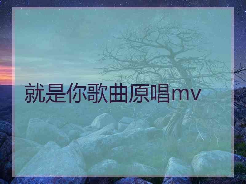 就是你歌曲原唱mv