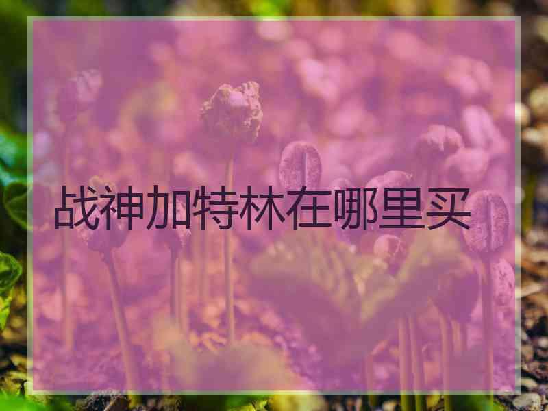 战神加特林在哪里买