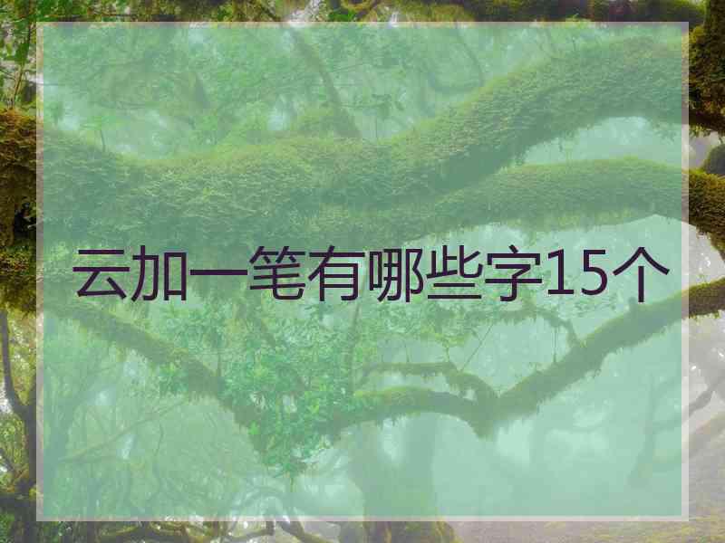 云加一笔有哪些字15个