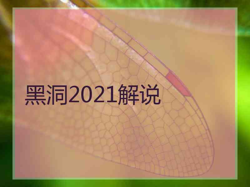 黑洞2021解说