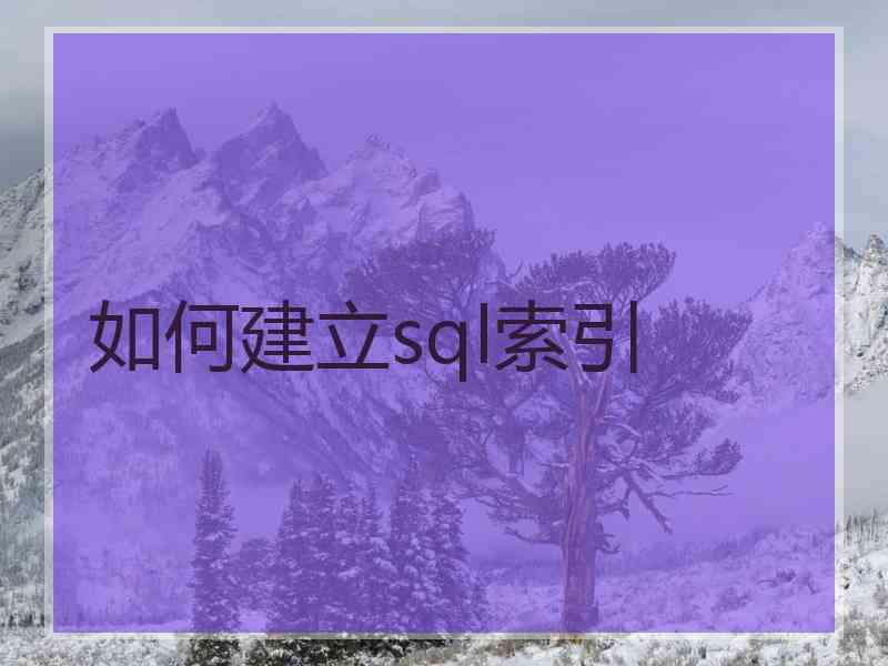 如何建立sql索引