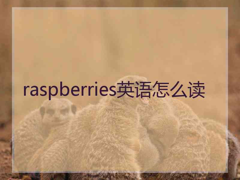 raspberries英语怎么读