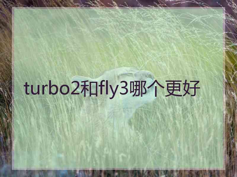 turbo2和fly3哪个更好