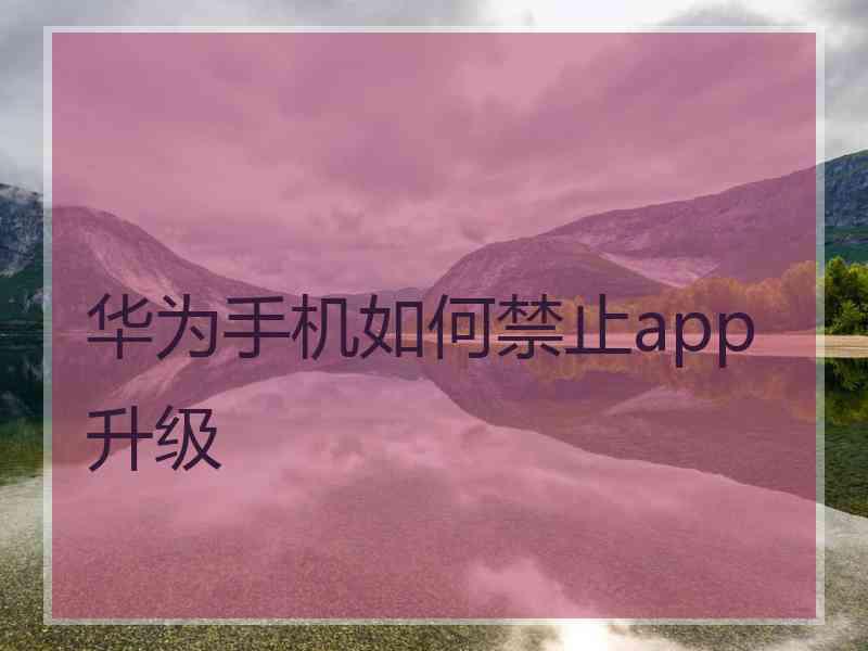 华为手机如何禁止app升级