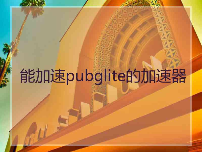 能加速pubglite的加速器