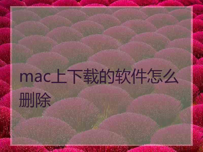 mac上下载的软件怎么删除