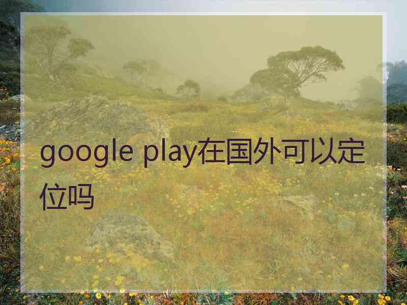 google play在国外可以定位吗