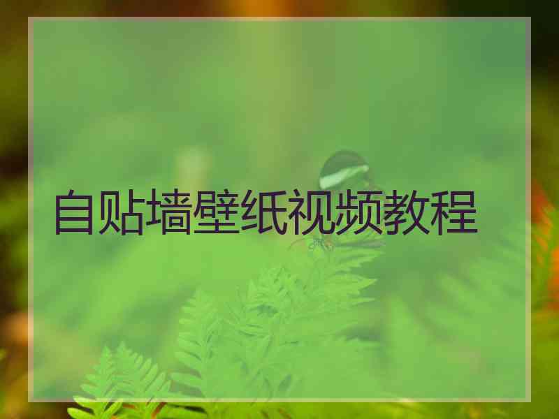 自贴墙壁纸视频教程