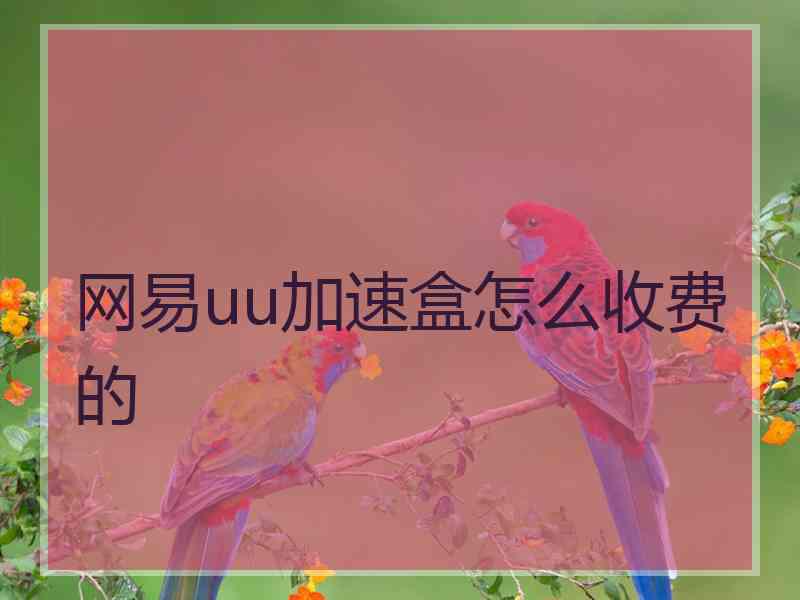 网易uu加速盒怎么收费的