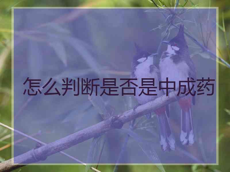 怎么判断是否是中成药