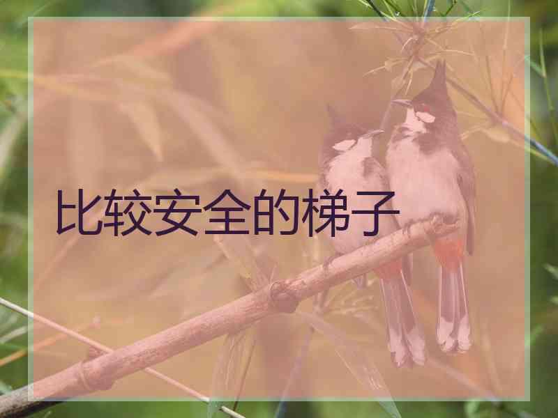 比较安全的梯子