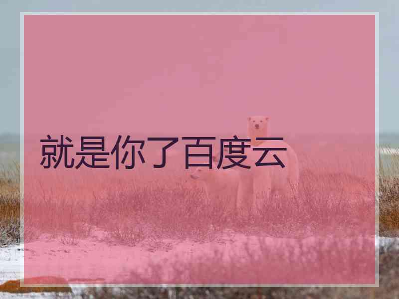 就是你了百度云