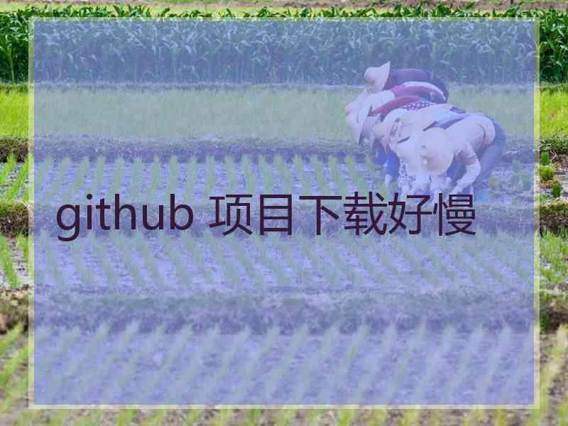 github 项目下载好慢