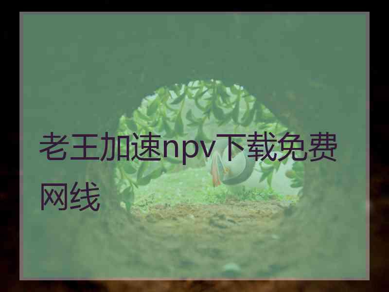 老王加速npv下载免费网线