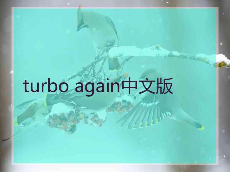 turbo again中文版