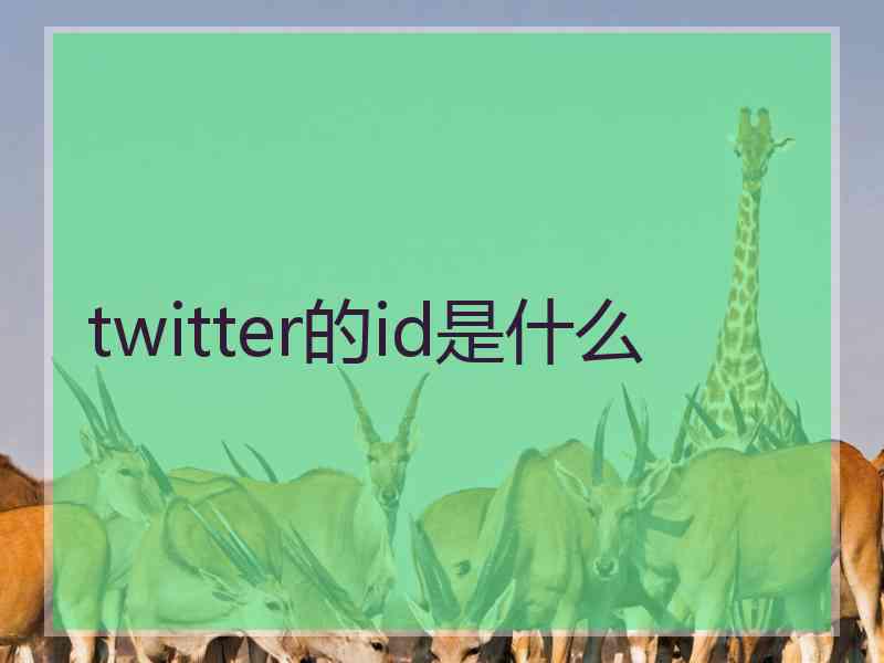 twitter的id是什么