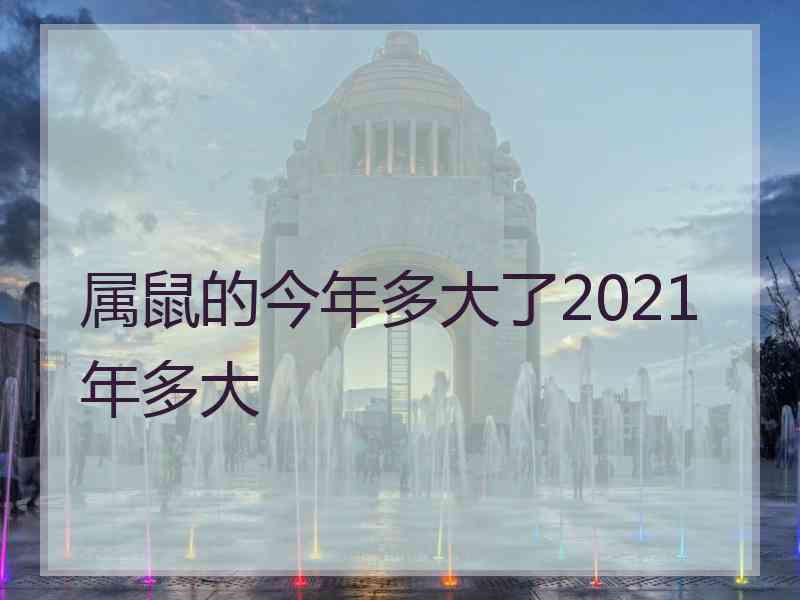 属鼠的今年多大了2021年多大