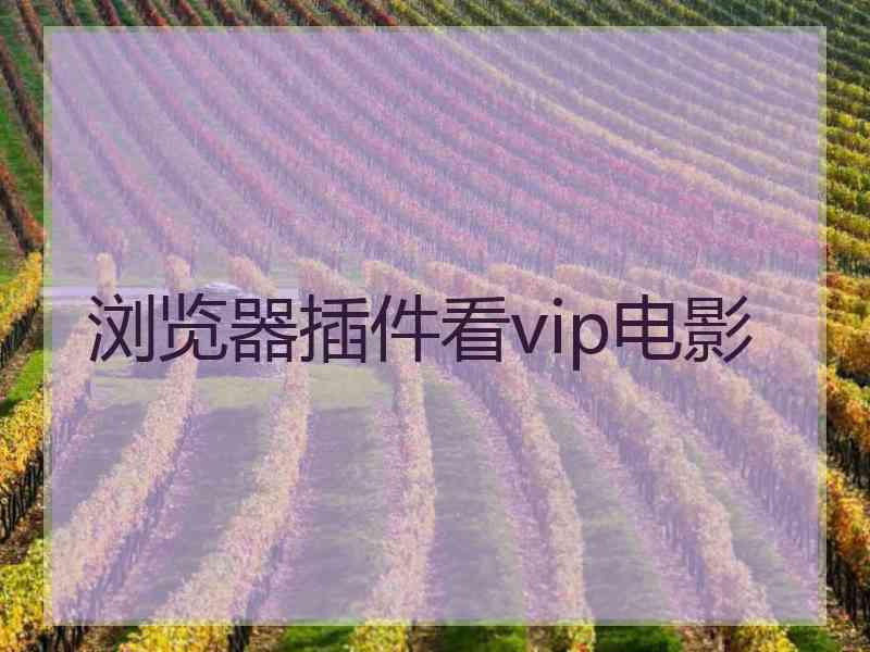 浏览器插件看vip电影