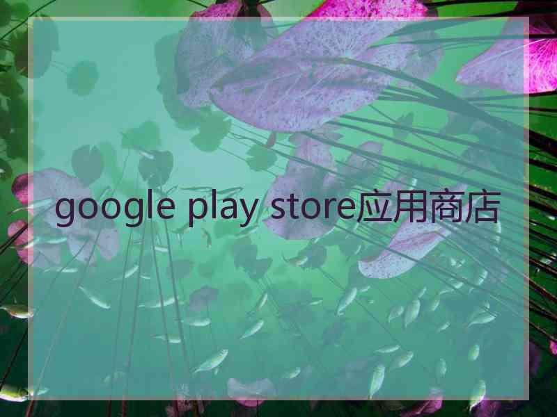 google play store应用商店