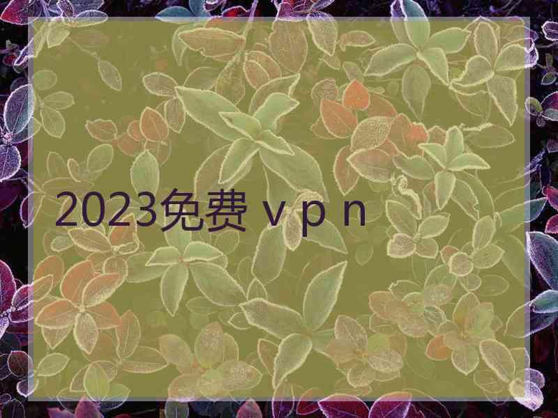 2023免费 v p n