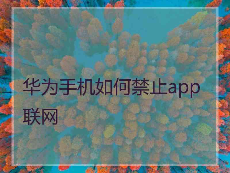 华为手机如何禁止app联网