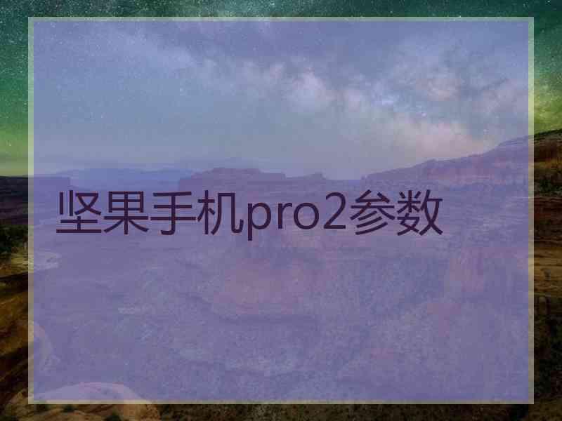 坚果手机pro2参数