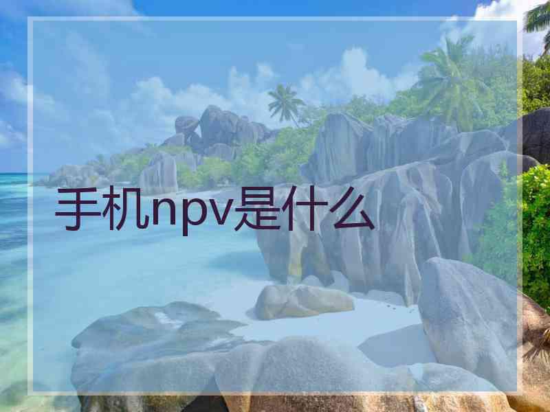 手机npv是什么