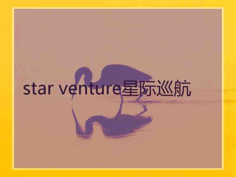 star venture星际巡航