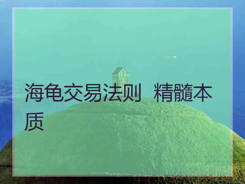 海龟交易法则  精髓本质