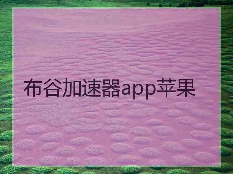 布谷加速器app苹果