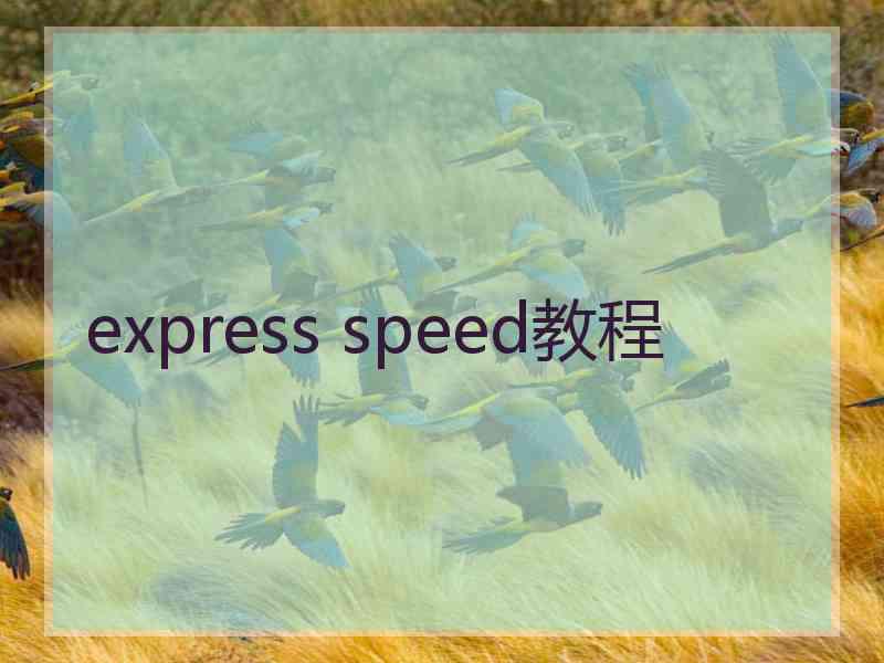 express speed教程