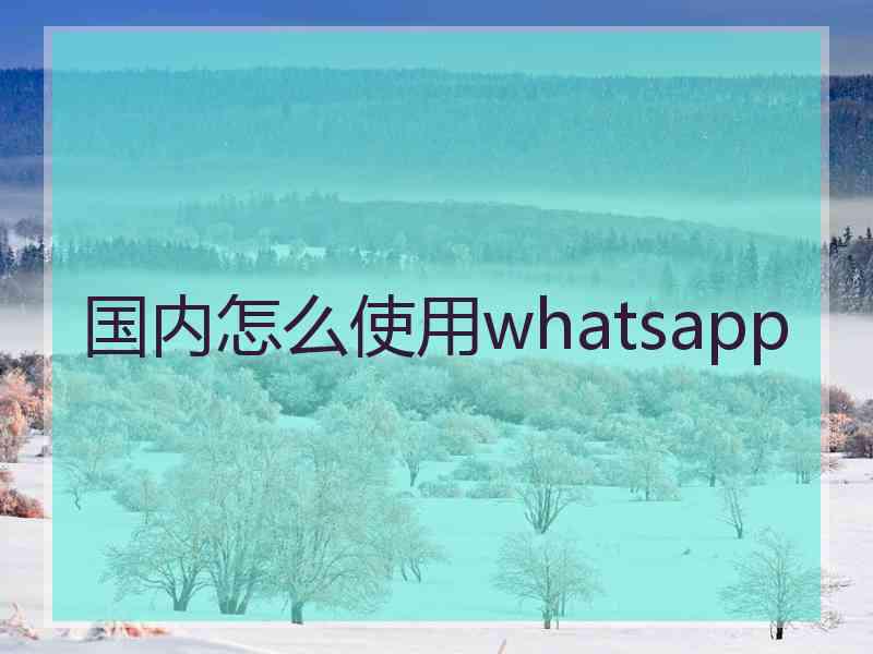 国内怎么使用whatsapp