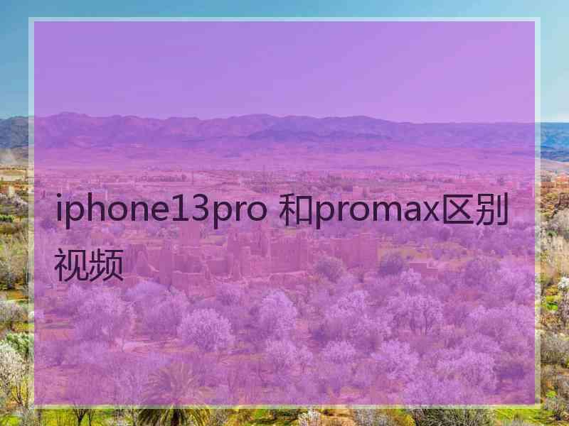 iphone13pro 和promax区别视频