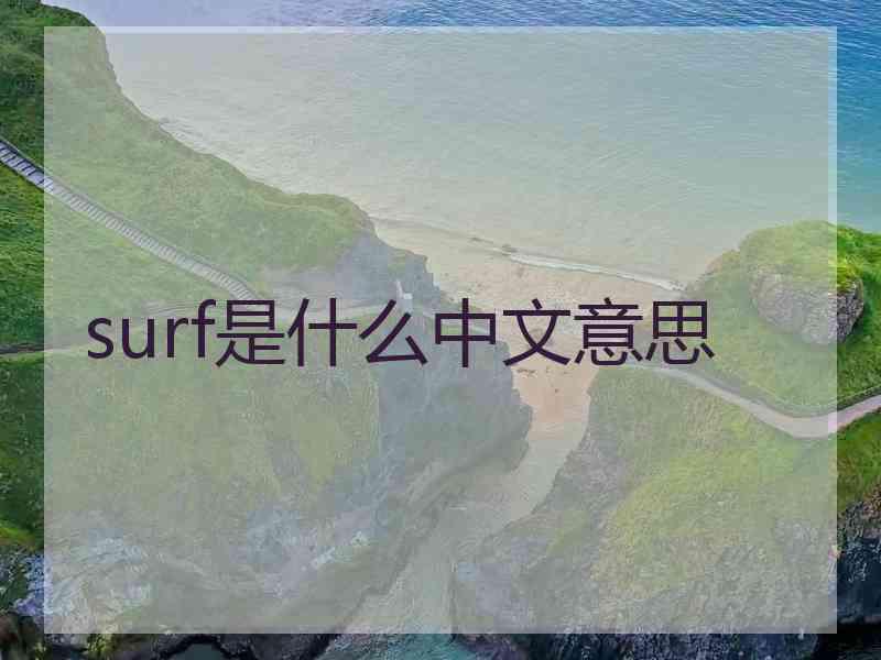 surf是什么中文意思