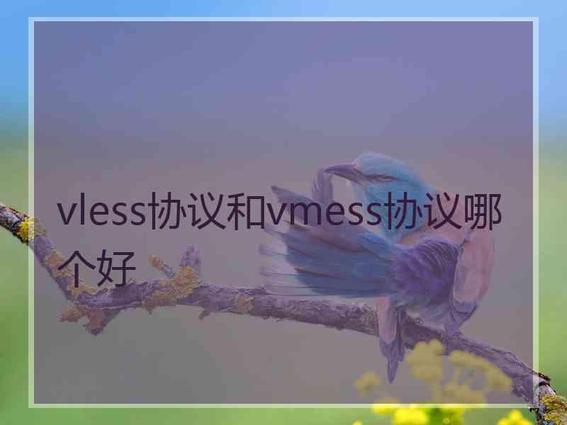 vless协议和vmess协议哪个好