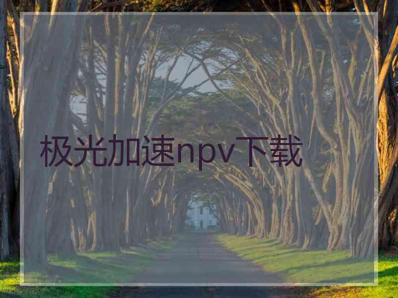 极光加速npv下载