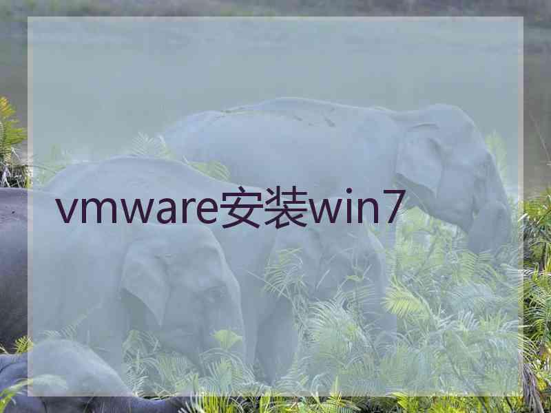 vmware安装win7