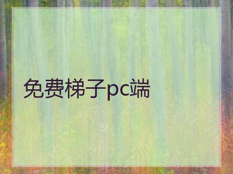 免费梯子pc端