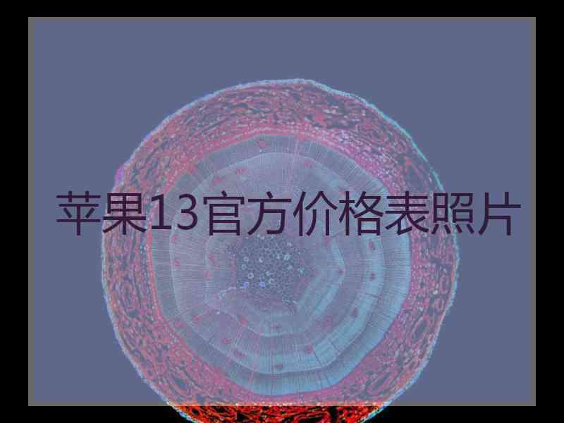 苹果13官方价格表照片