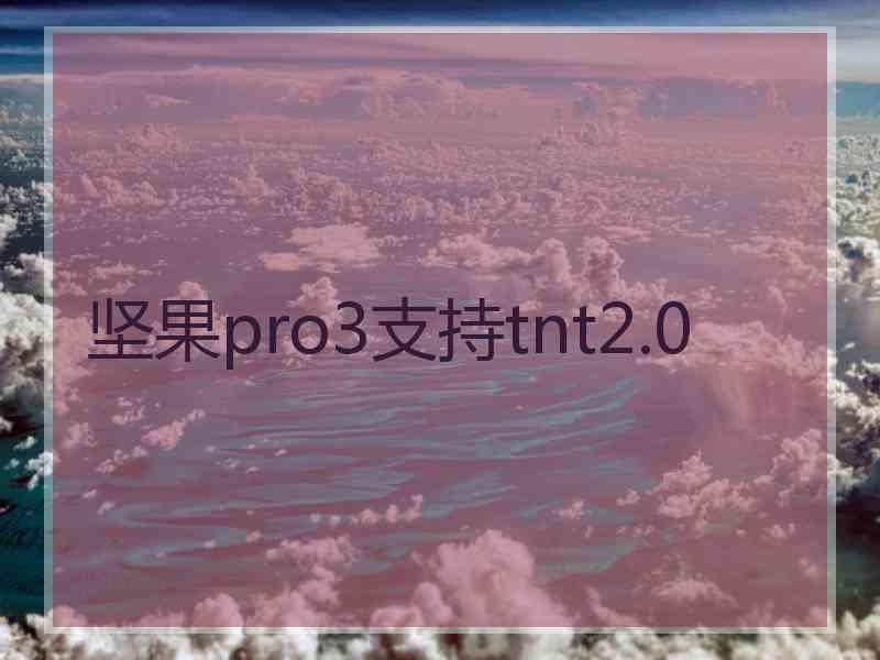 坚果pro3支持tnt2.0