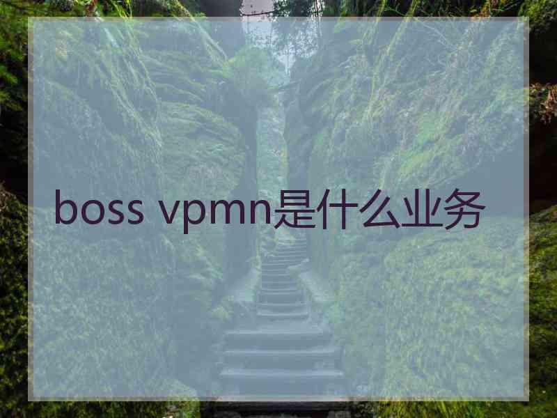 boss vpmn是什么业务